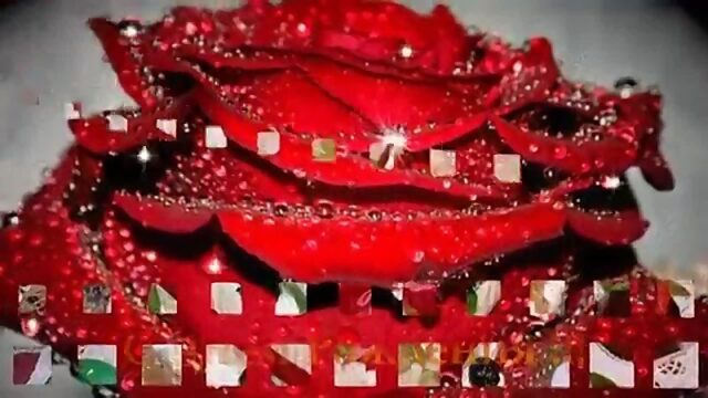 З ДНЕМ НАРОДЖЕННЯ СЕСТРИЧКО!!!