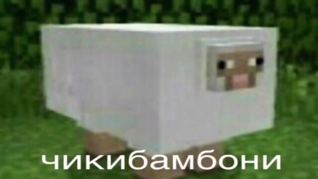 ЧИКИБАМБОНИ ПЕСНЯ  Все виды