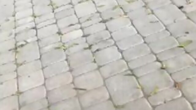 Приват вирт,вебкам чат рулетка омигл,показала грудь за продой переходи на стену сообщества